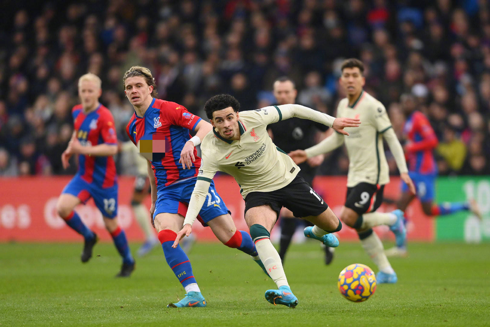 成功团队的 成功团队的